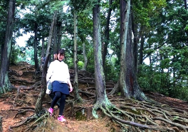 <2020年秋>奥武蔵「日和田山」(職場仲間登山)&渡来人の里「高麗郷」(日高市)_c0119160_21182026.jpg
