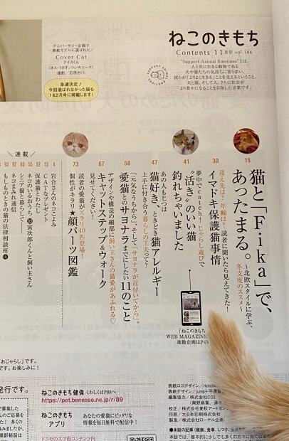 「ねこのきもち」11月号、そして「ねこのきもち WEB MAGAZINE」掲載のお知らせ_d0025294_17383260.jpg