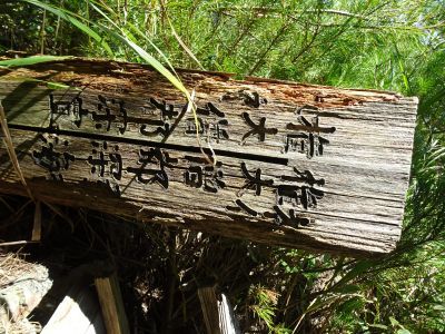 Tamaki Yama and Tamaki Shrine ／玉置山と玉置神社_d0360104_20574493.jpg