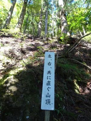 Tamaki Yama and Tamaki Shrine ／玉置山と玉置神社_d0360104_20592870.jpg