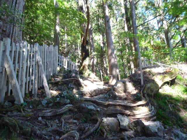 Tamaki Yama and Tamaki Shrine ／玉置山と玉置神社_d0360104_20594742.jpg