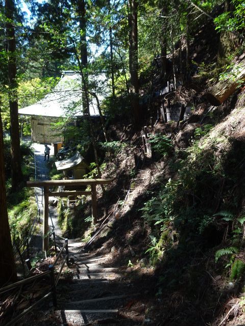 Tamaki Yama and Tamaki Shrine ／玉置山と玉置神社_d0360104_21010332.jpg