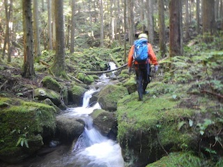 飛水峡周辺の沢巡り…大洞谷_c0359615_18175109.jpg