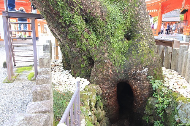 熊野那智大社参詣(撮影:10月11日)_e0321325_15533570.jpg