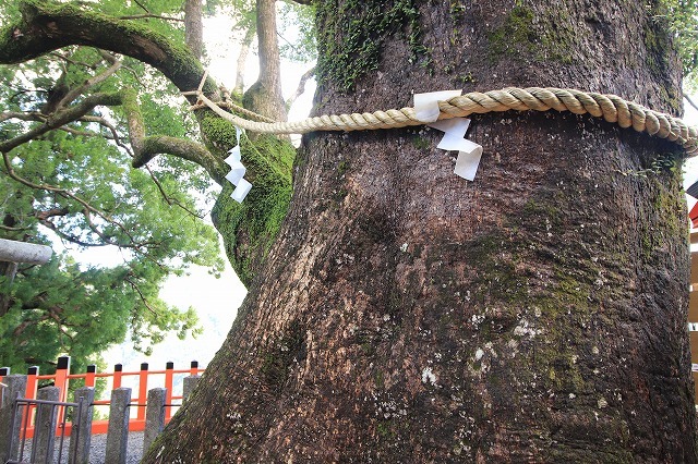 熊野那智大社参詣(撮影:10月11日)_e0321325_15545593.jpg