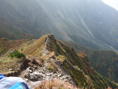 大山　三鈷峰へ_f0158625_15331313.jpg