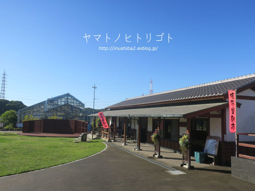佐布里朝市_e0394031_07482590.jpg