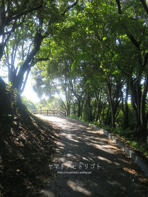 佐布里朝市_e0394031_07482878.jpg