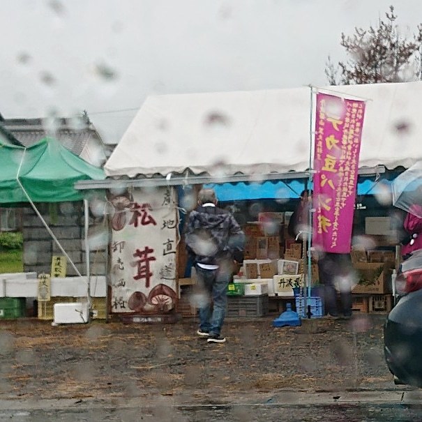 今日は 冷たい雨になってしまいました_e0145441_23125429.jpg