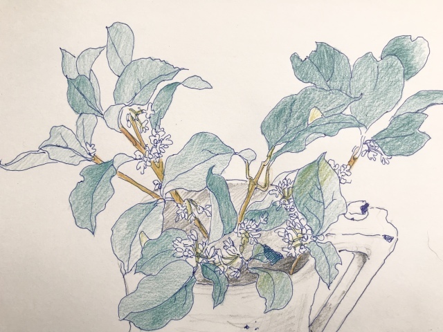 緑豆入りのスープ_d0101846_06480797.jpeg