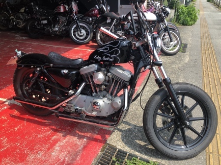 スポタン ピンストライプ☆ : GARAGE-STYLE083