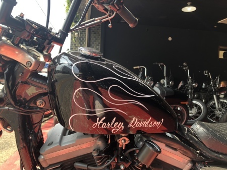 スポタン ピンストライプ☆ : GARAGE-STYLE083