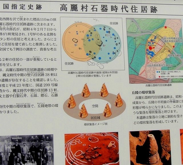 <2020年秋>奥武蔵「日和田山」(職場仲間登山)&渡来人の里「高麗郷」(日高市)_c0119160_05323712.jpg