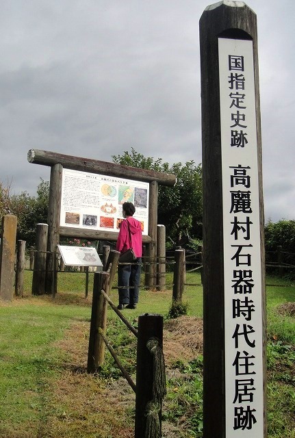 <2020年秋>奥武蔵「日和田山」(職場仲間登山)&渡来人の里「高麗郷」(日高市)_c0119160_05332370.jpg