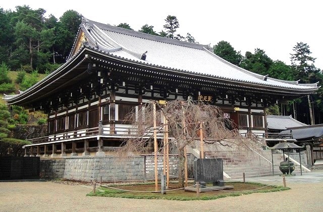 ＜2020年秋＞奥武蔵「日和田山」（職場仲間登山）＆渡来人の里「高麗郷」（日高市）_c0119160_06302095.jpg