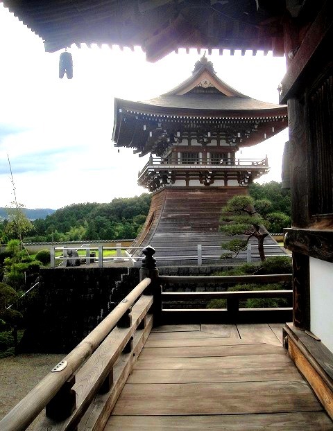 <2020年秋>奥武蔵「日和田山」(職場仲間登山)&渡来人の里「高麗郷」(日高市)_c0119160_06304197.jpg