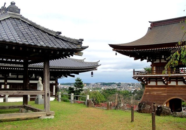 <2020年秋>奥武蔵「日和田山」(職場仲間登山)&渡来人の里「高麗郷」(日高市)_c0119160_06432820.jpg