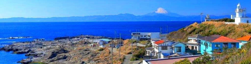 <2020年秋>奥武蔵「日和田山」(職場仲間登山)&渡来人の里「高麗郷」(日高市)_c0119160_08340615.jpg