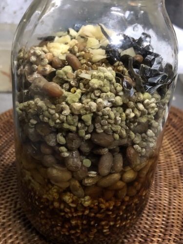 発酵調味料作り_b0123667_19015560.jpeg