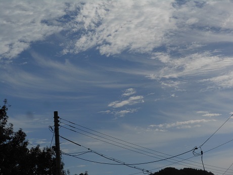これぞ秋の雲_e0175370_11432021.jpg