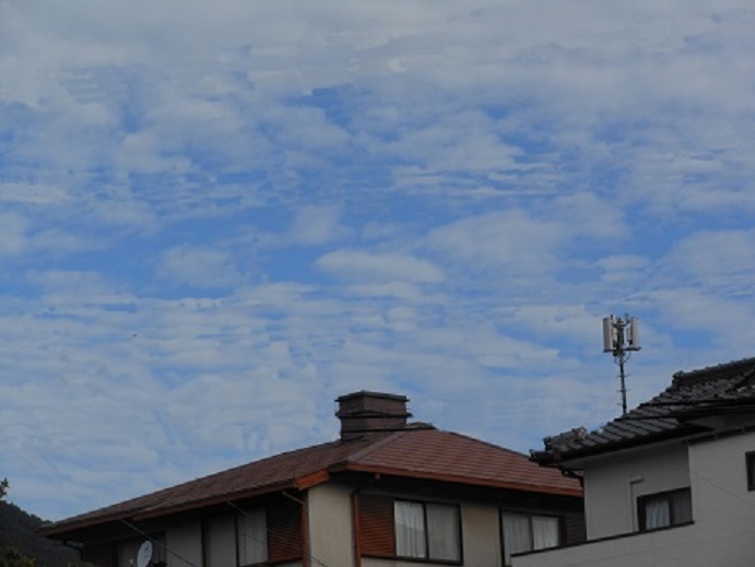 これぞ秋の雲_e0175370_11433742.jpg