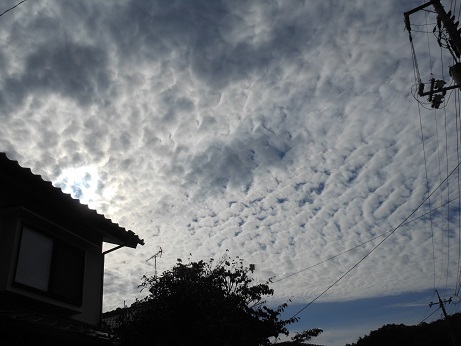 これぞ秋の雲_e0175370_11434536.jpg