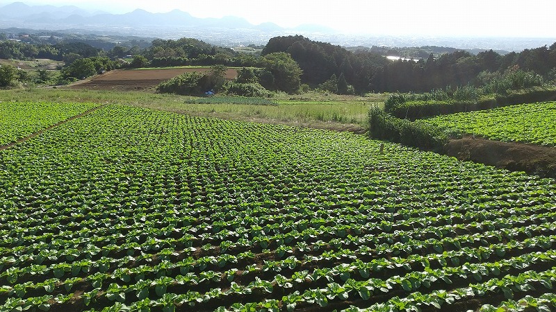 県東部農林事務所主催の農業振興に係る現地視察!_d0050503_08374425.jpg