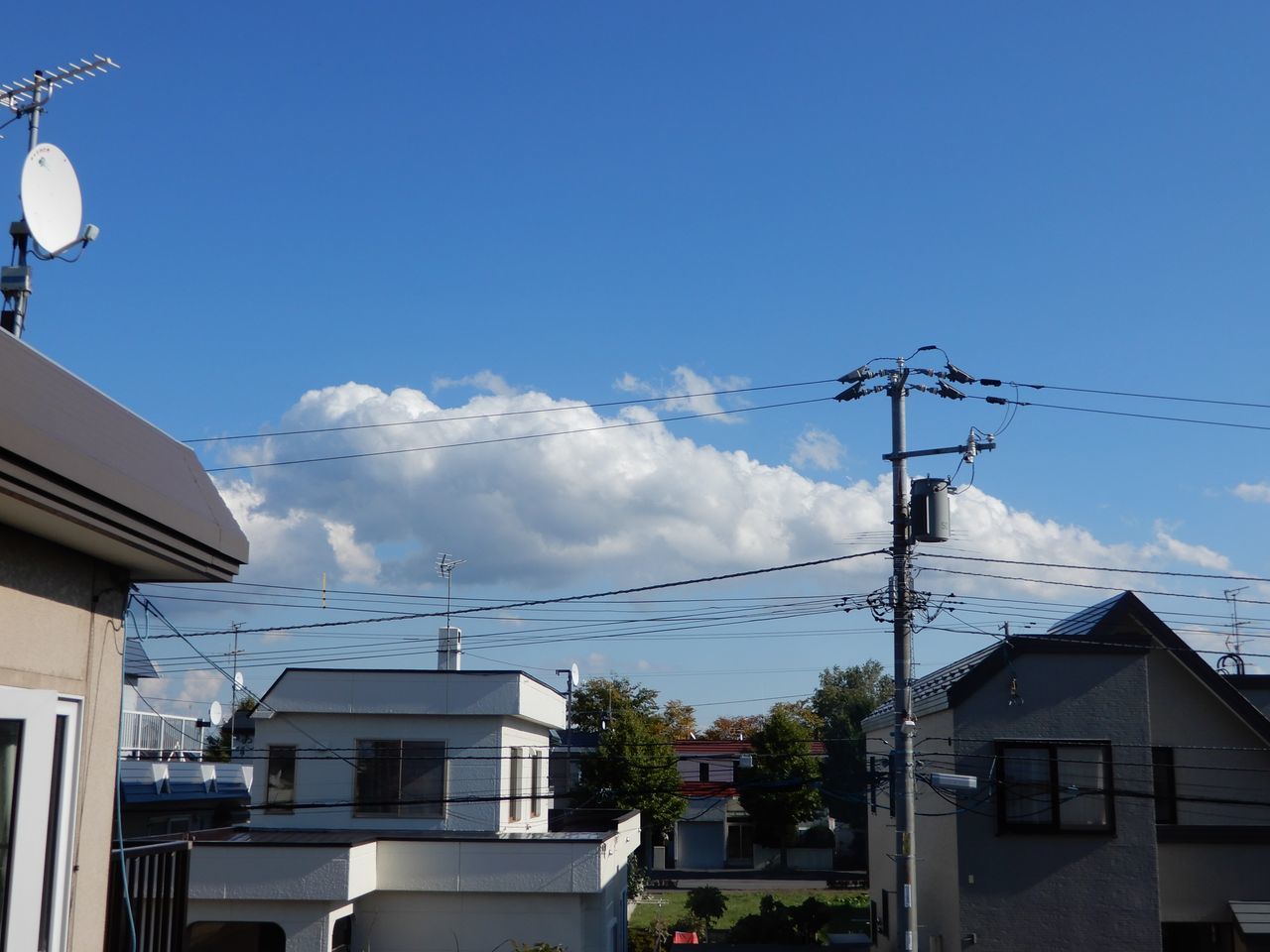 ユキムシの季節_c0025115_21395850.jpg