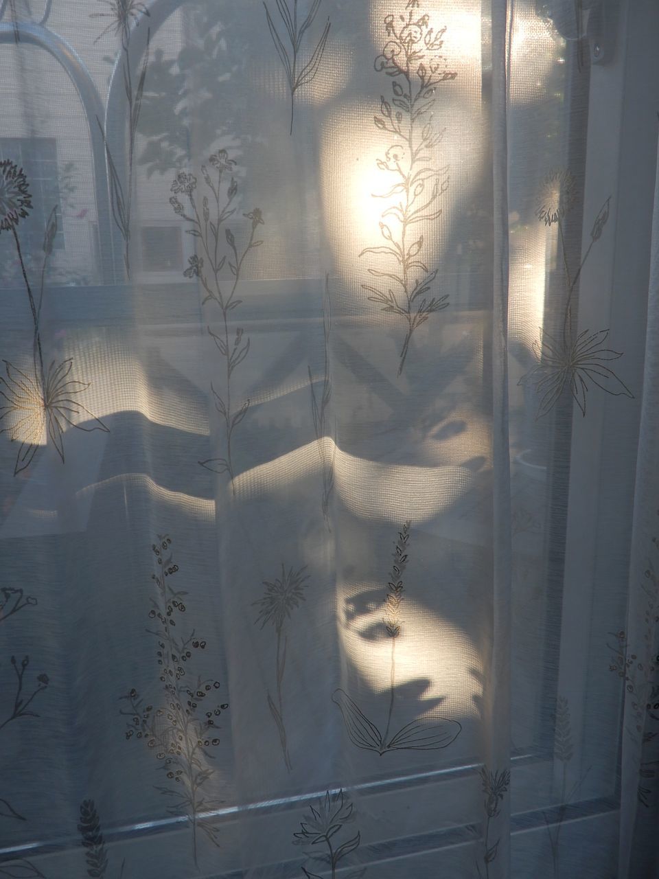 ユキムシの季節_c0025115_21411315.jpg