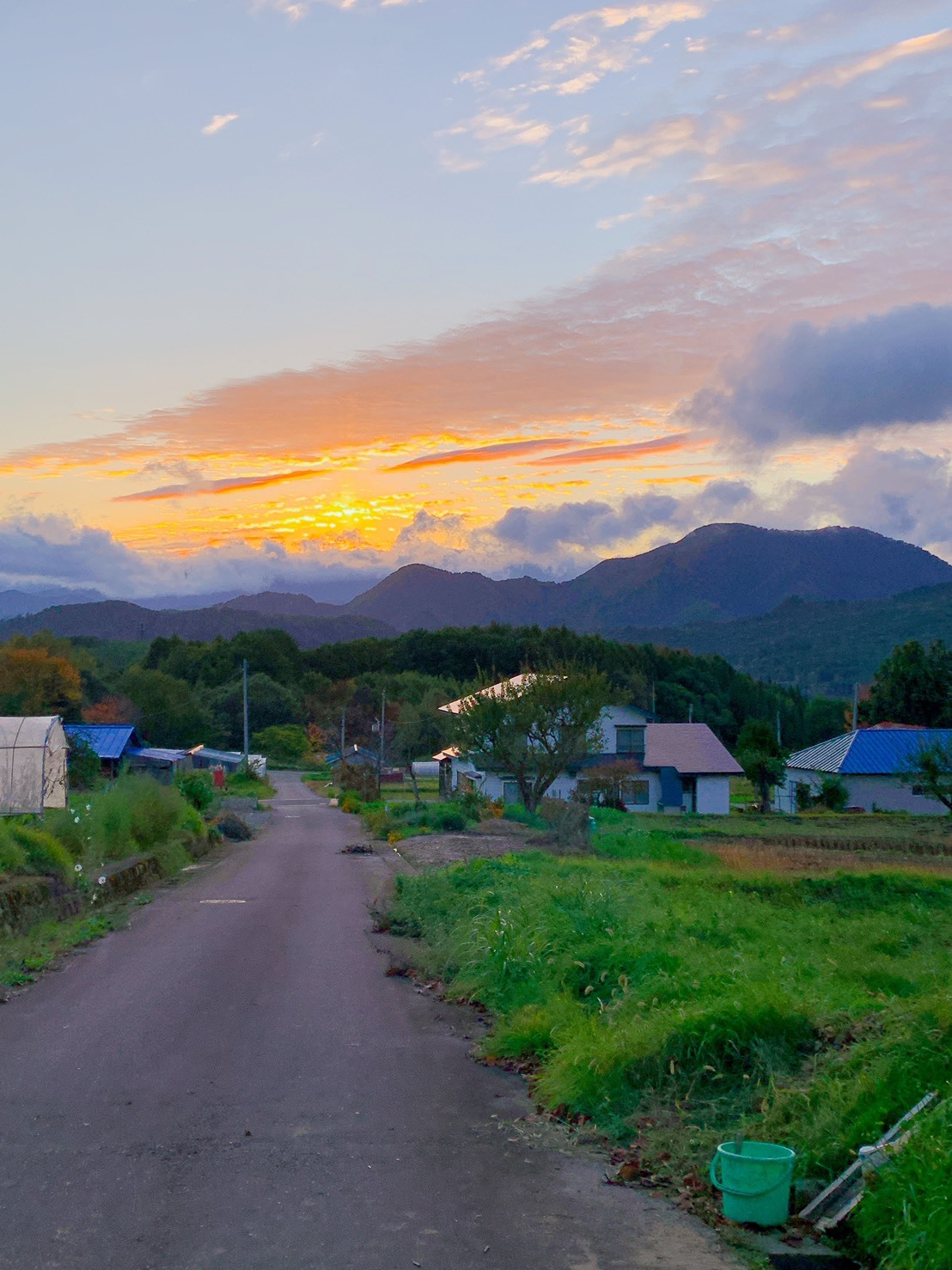 熊 猿 猪があばれる君です 福島県南会津での山暮らしと制作