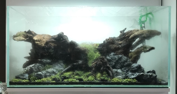 2020レイコン結果とメイキング_a0262622_23312695.jpg
