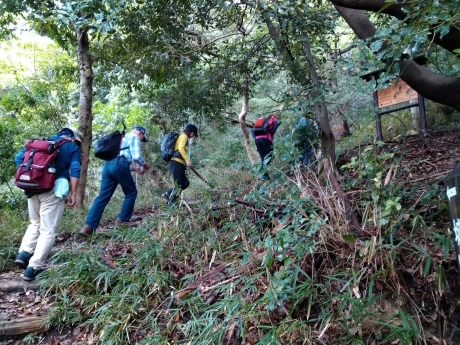 北野背山道~再度山~七三峠 マイナールートの山歩き_c0218841_19255717.jpg