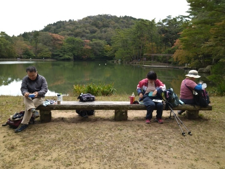 北野背山道~再度山~七三峠 マイナールートの山歩き_c0218841_19524828.jpg