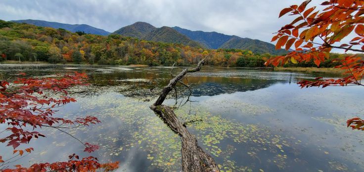 観音沼森林公園 後編 福島県下郷町 963 77 観音沼森林公園 後編 福島県下郷町 963 77