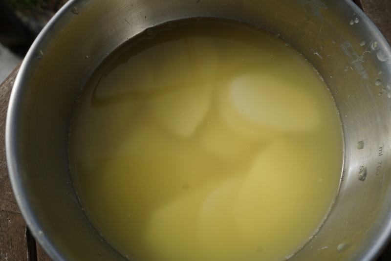 マムシグサを薬に変える。_d0180447_15321326.jpeg