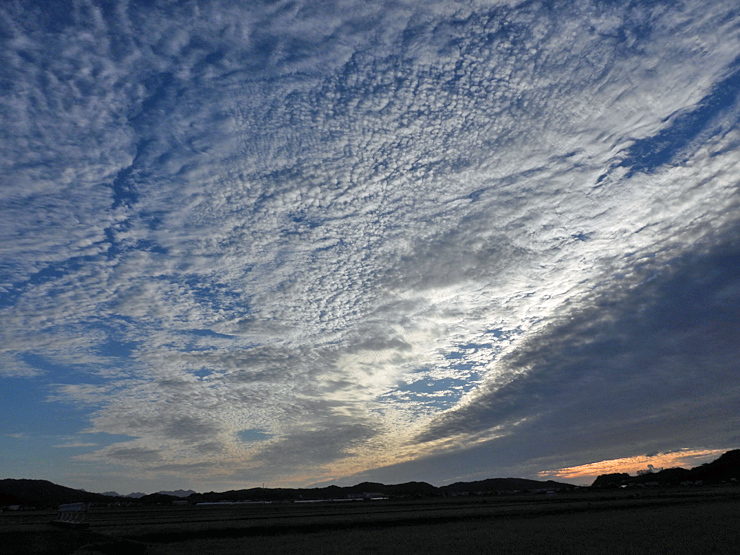 お散歩_f0214649_04500417.jpg