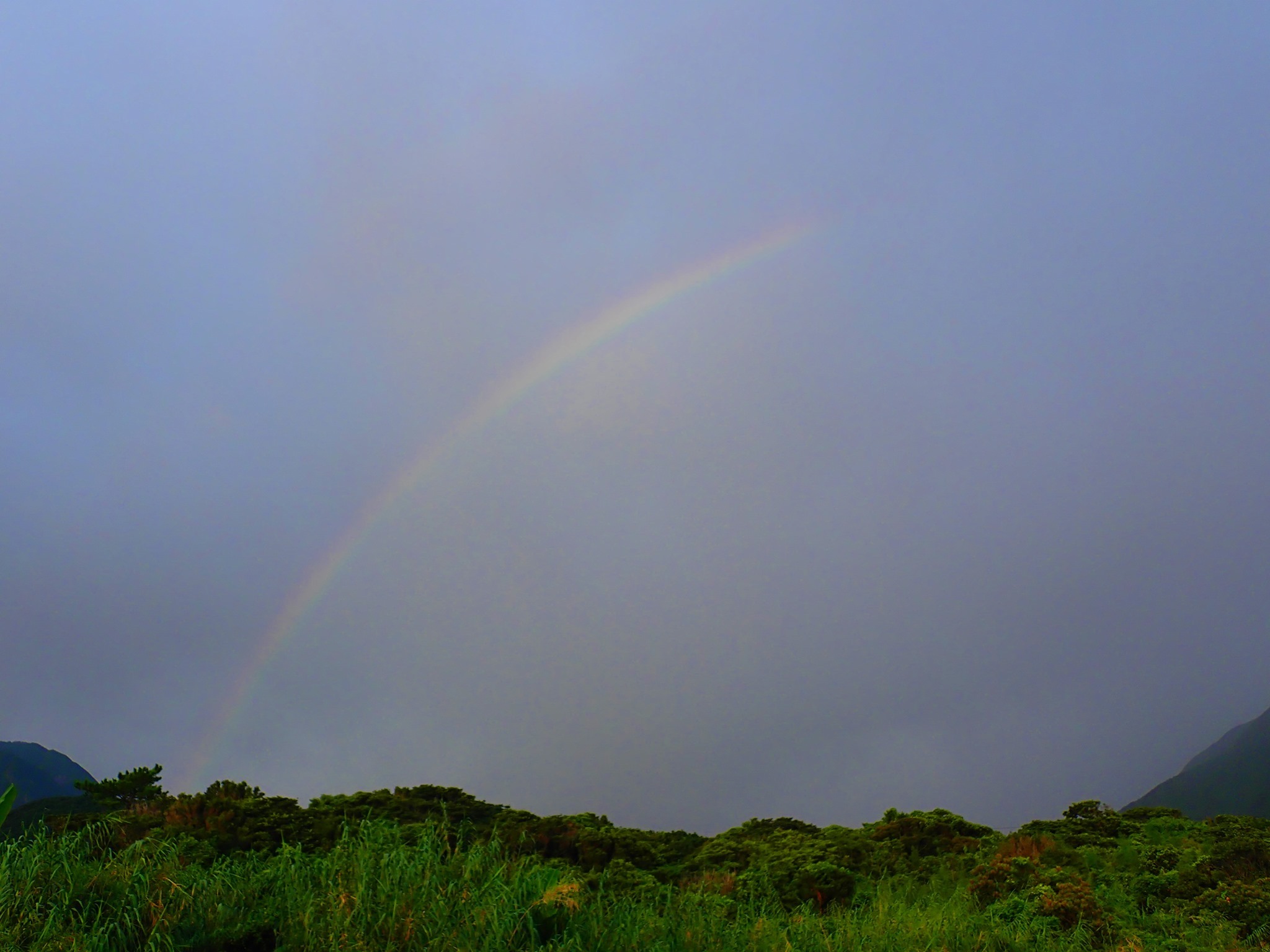 8月10日~16日 家からスノーケル_b0160957_09512214.jpg