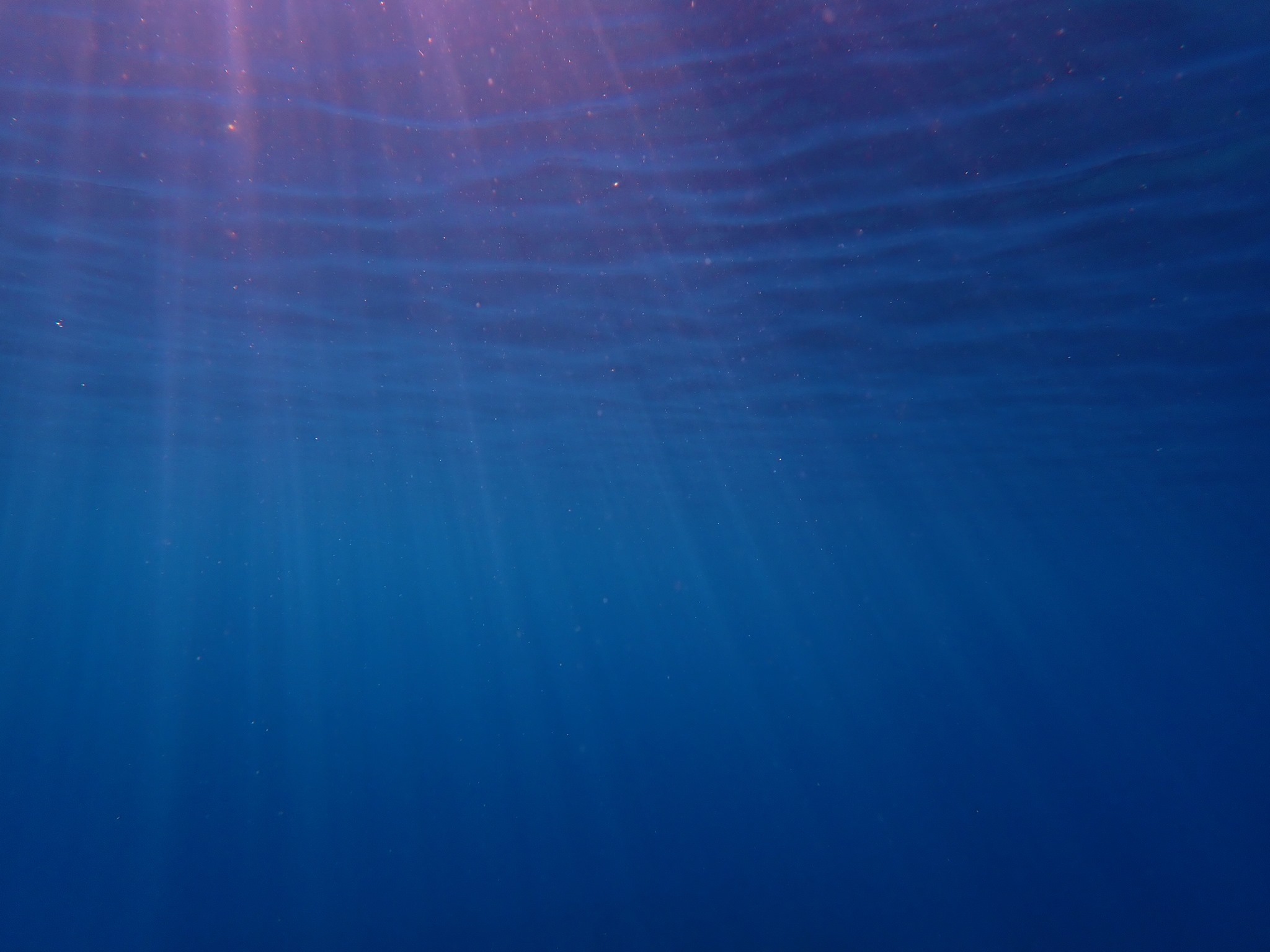 8月10日~16日 家からスノーケル_b0160957_10004905.jpg