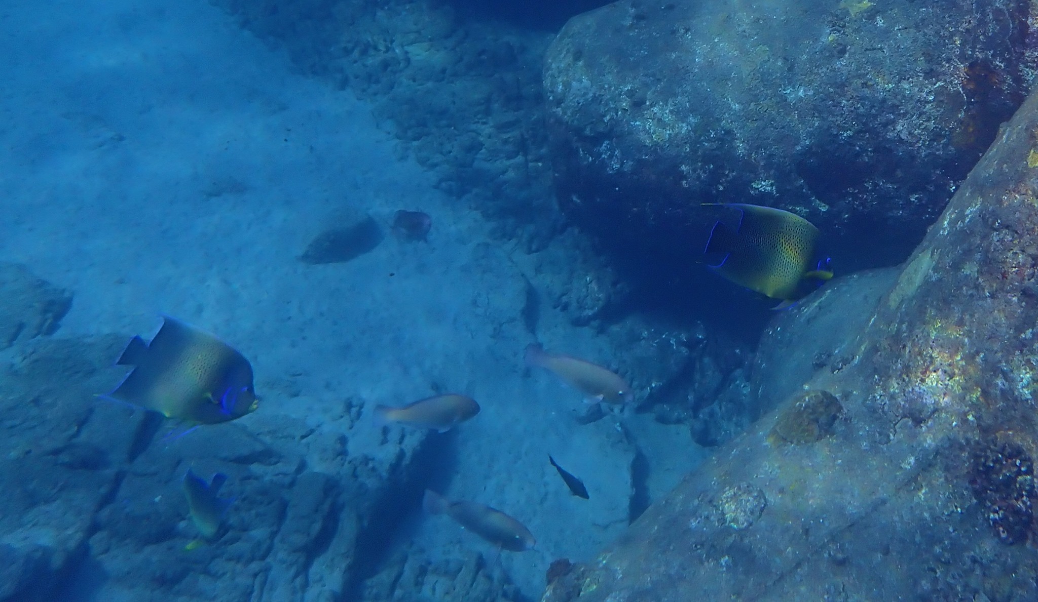 8月10日~16日 家からスノーケル_b0160957_10021779.jpg