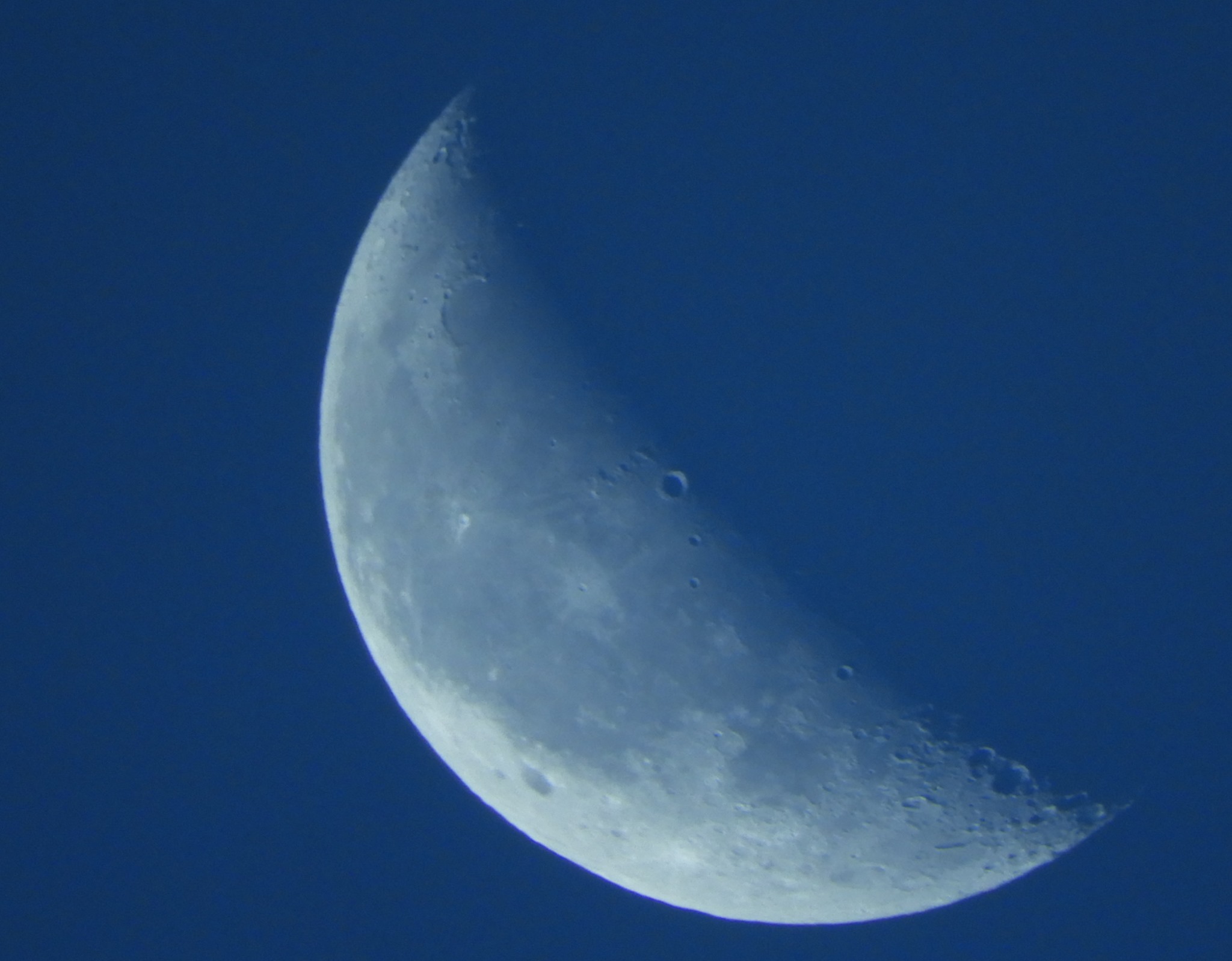 8月10日~16日 家からスノーケル_b0160957_10022965.jpg