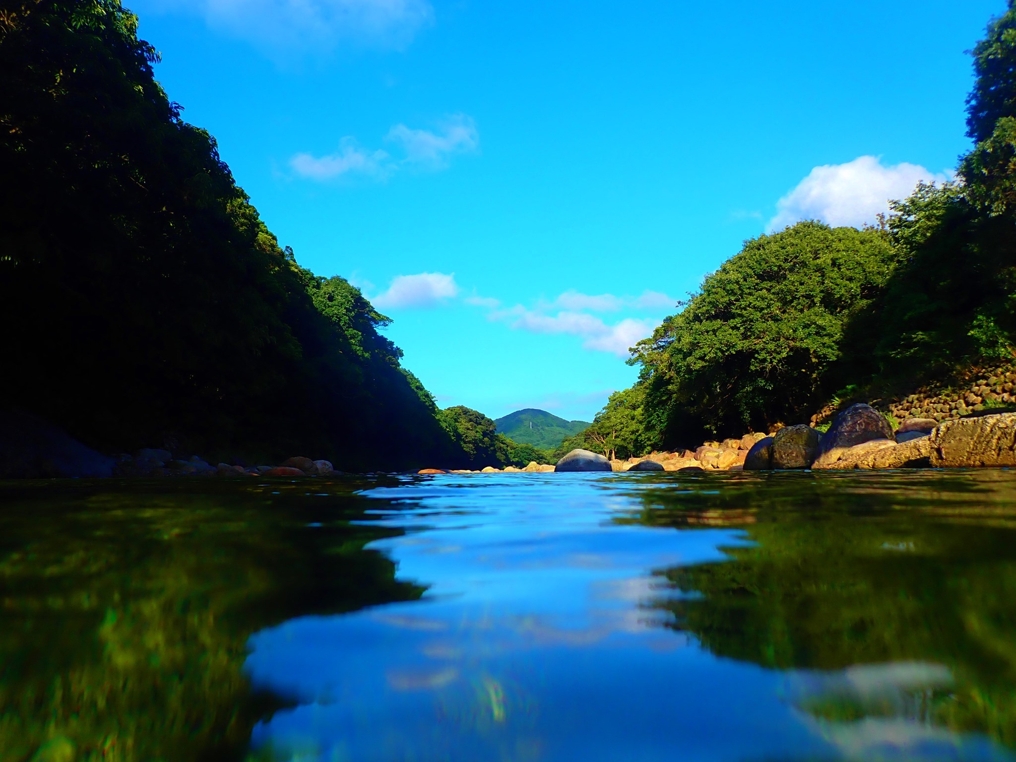 8月10日~16日 家からスノーケル_b0160957_10112701.jpg