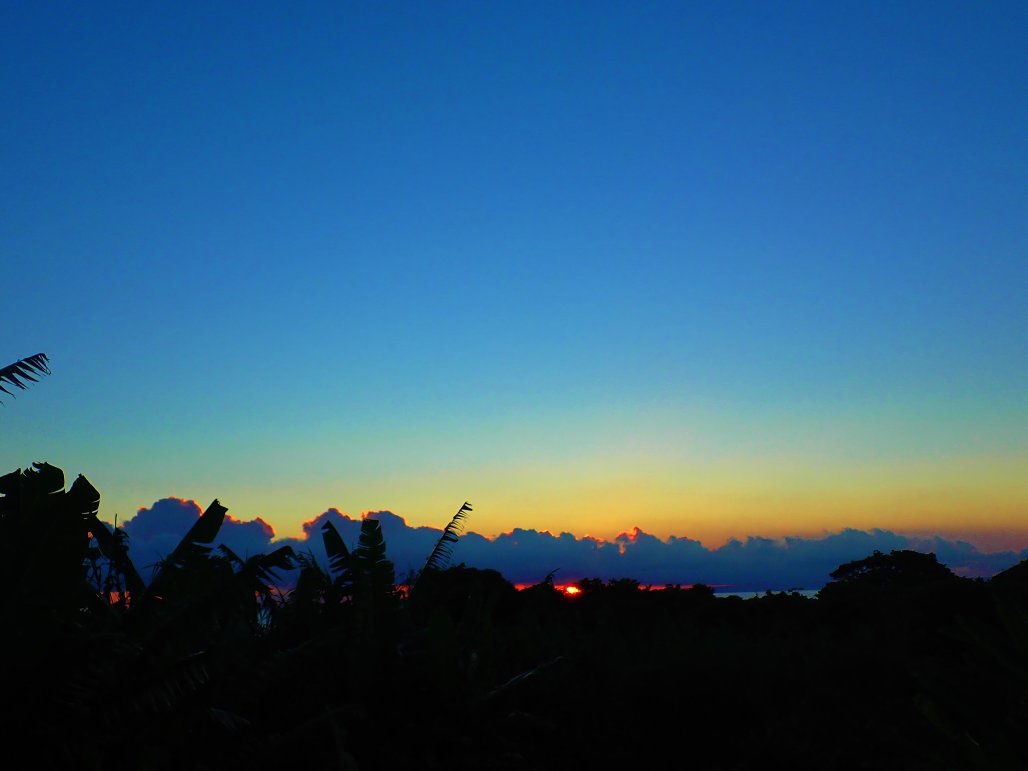 8月10日~16日 家からスノーケル_b0160957_10122238.jpg