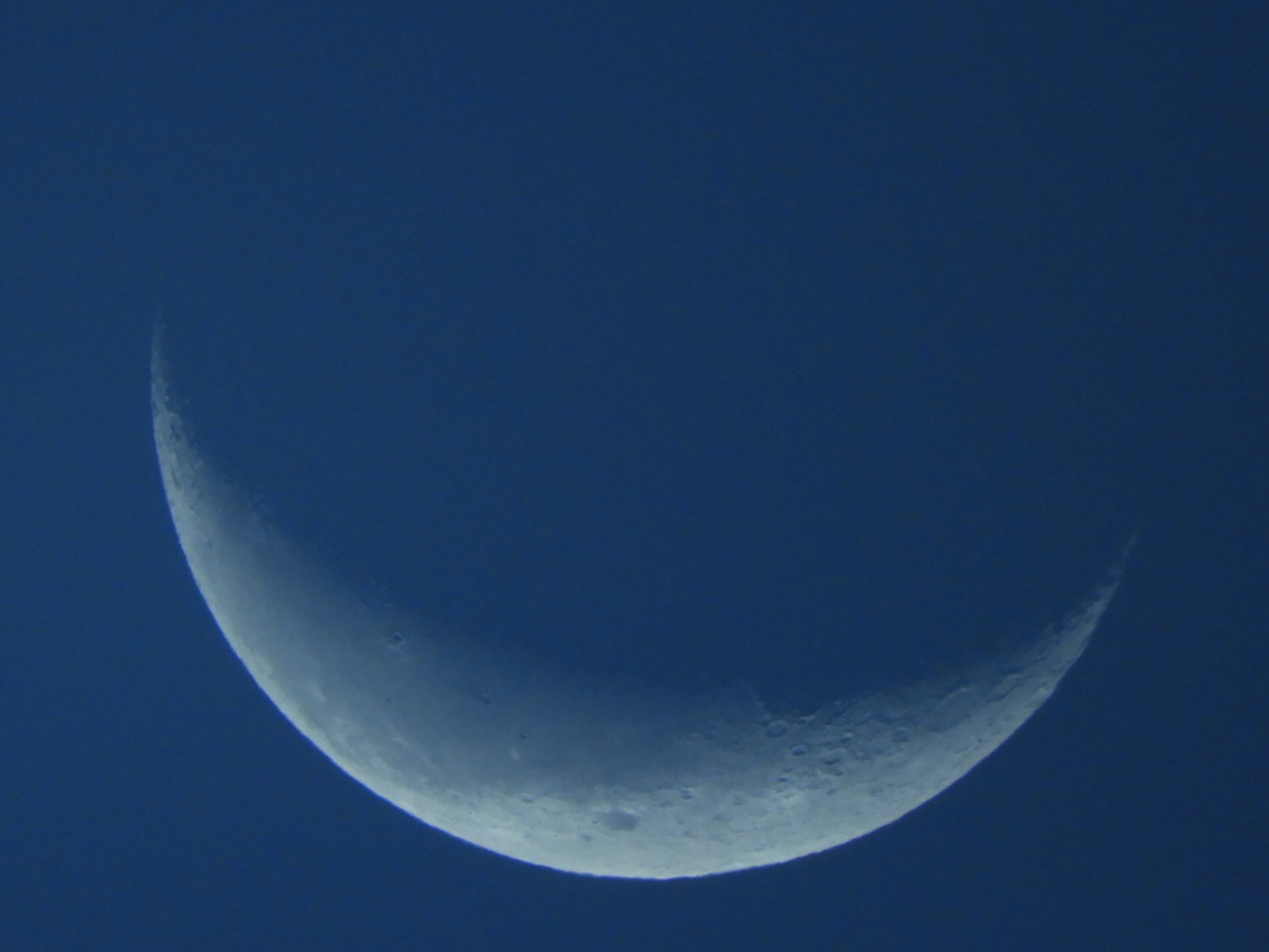 8月10日~16日 家からスノーケル_b0160957_10125002.jpg