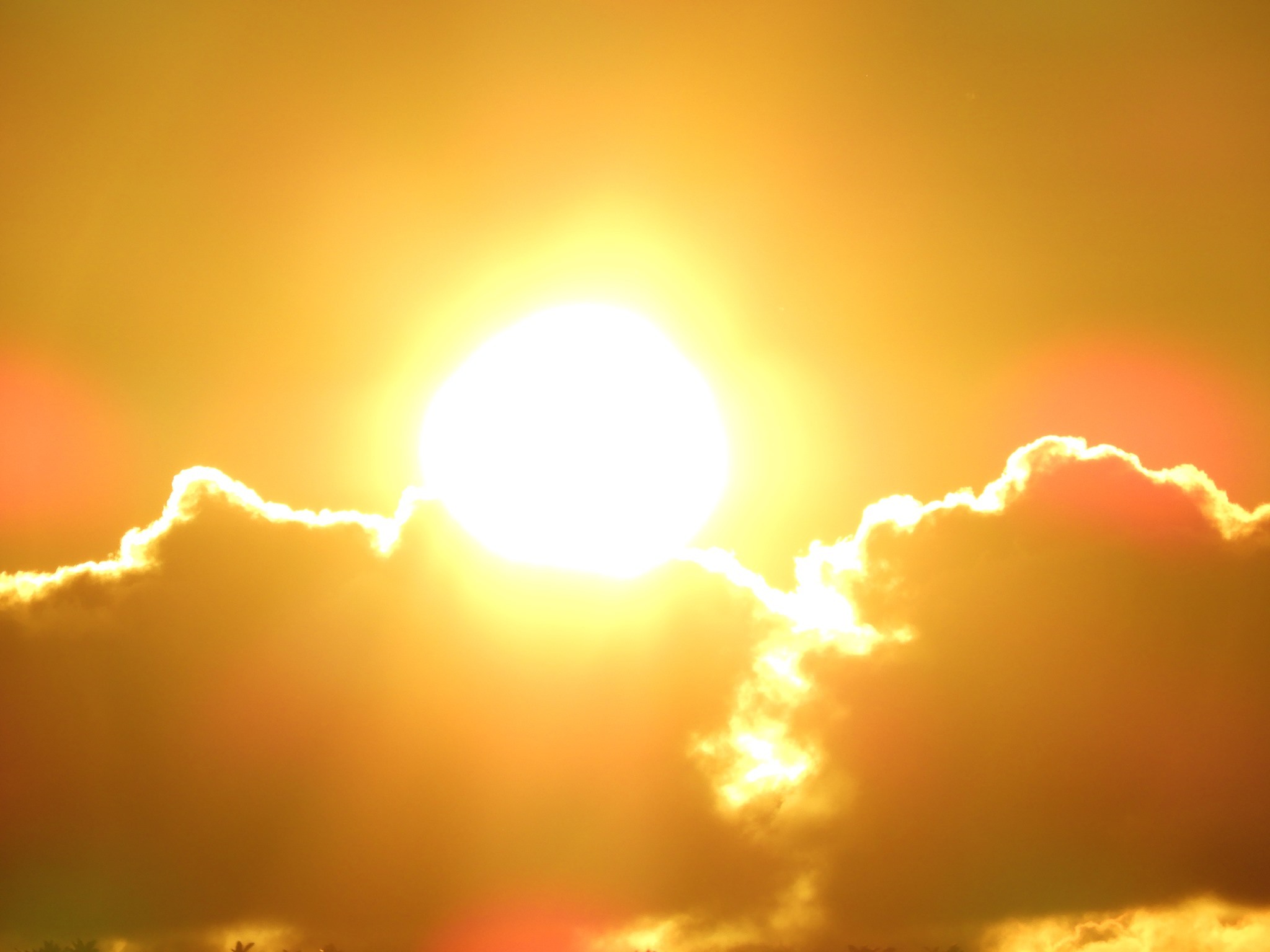 8月10日~16日 家からスノーケル_b0160957_10230196.jpg