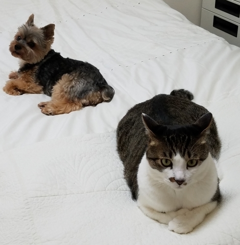 ご忠告頂く きまぐれ日記 Ryoko