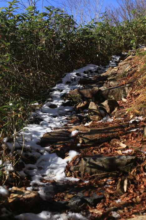 爺ヶ岳 201018 初雪_e0338862_15305013.jpg