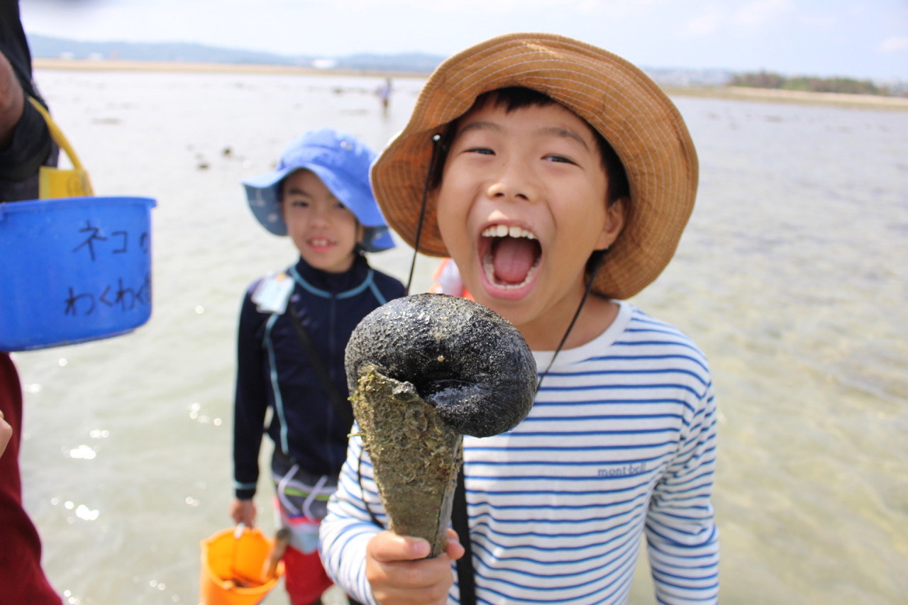 ネコクラブABC合同-06◆秋の干潟で収穫まつり(10/17)沖縄随一の干潟、泡瀬干潟で丸一日潮干狩りにチャレンジ。貝もカニもいっぱいで、お腹いっぱいになりました!_d0363878_00123254.jpeg