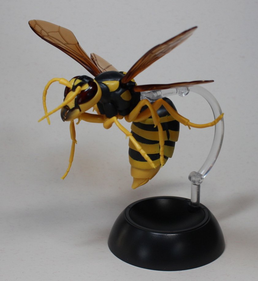 キイロスズメバチ ガシャポンいきもの大図鑑 ホビーやっぱり増える