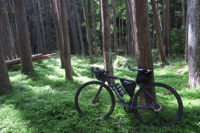 ひかりを探す。_e0149587_05044677.jpeg
