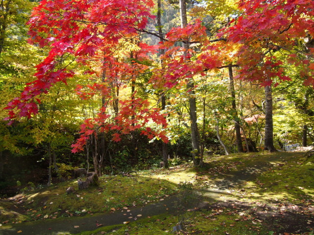 夕張　滝の上公園の紅葉　10/17_c0360399_21035129.jpg